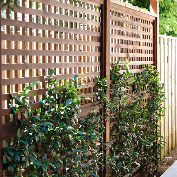 Timber Trellis