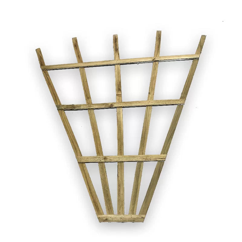 Permapine Fan Trellis